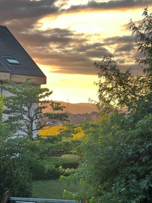 Appartement Calme Et Lumineux De 2,5 Pces Proche Lausanne Ecublens  Exteriér fotografie